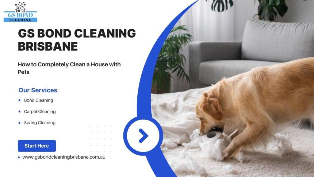 Bond Cleaning Company in Brisbane