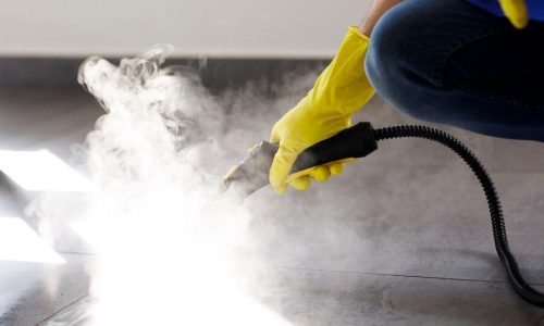 Carpet Steam Cleaning